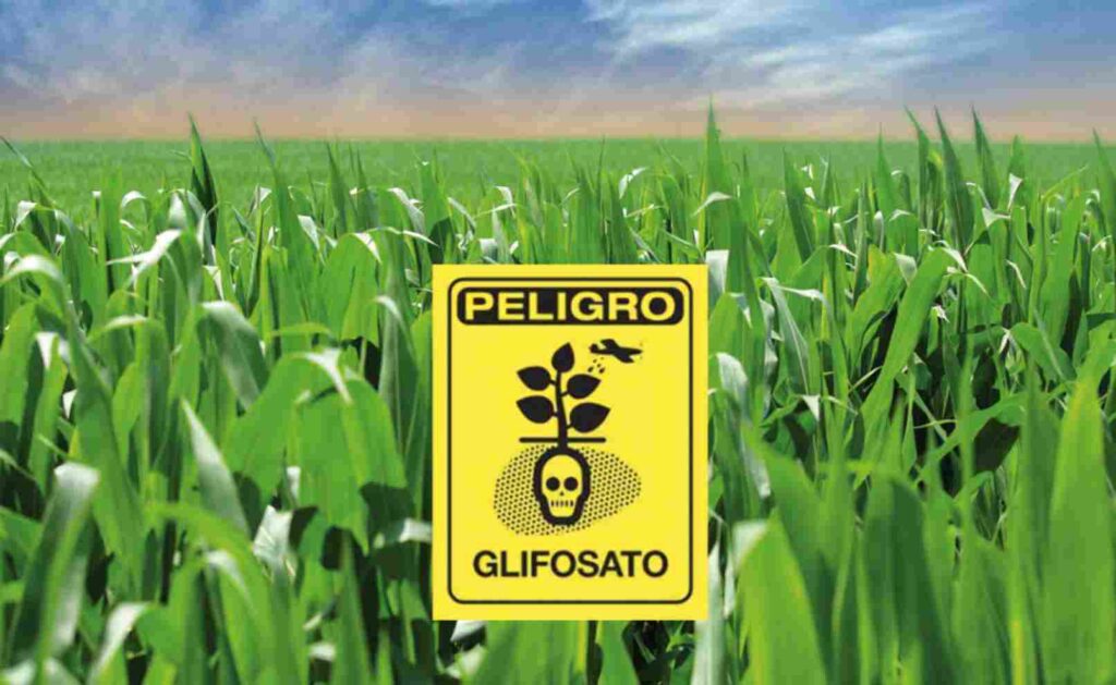 MILLONARIA MULTA A MONSANTO POR LOS EFECTOS CANCERÍGENOS DE SU GLIFOSATO