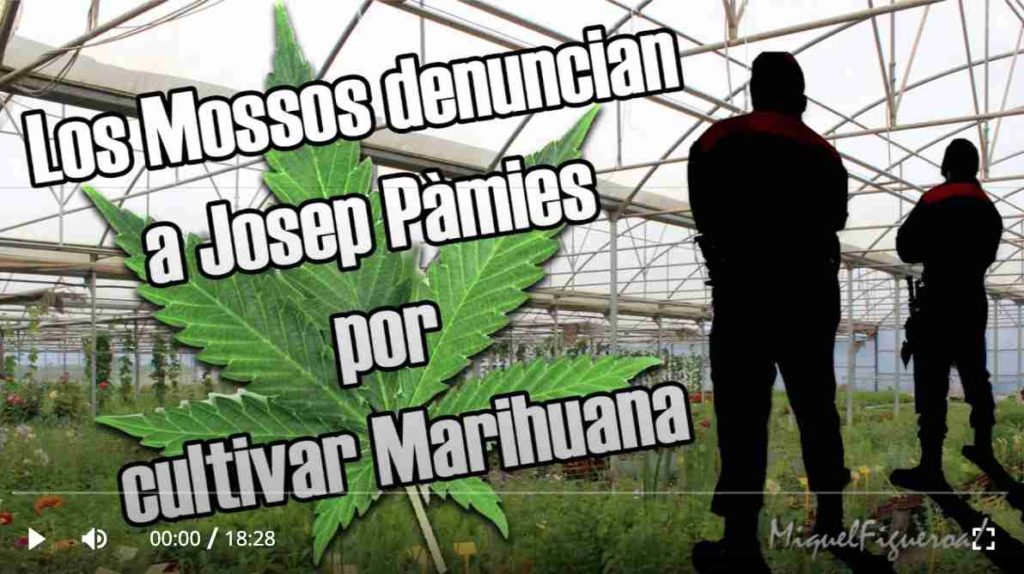 Los Mossos denuncian a Josep Pàmies por cultivar marihuana (entrevista)