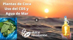 Plantas de Coca, uso del CDS y Agua de mar - Josep Pàmies