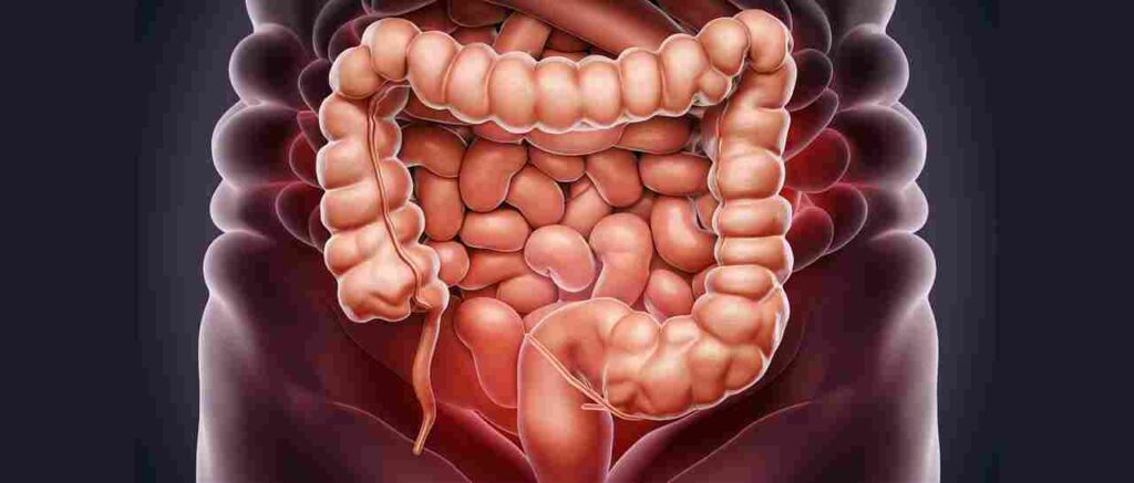 LIMPIEZA INTESTINAL – SHANK PRAKSHALANA
