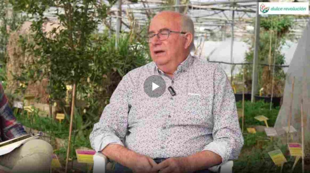 Entrevista a Josep Pàmies, novembre 2025